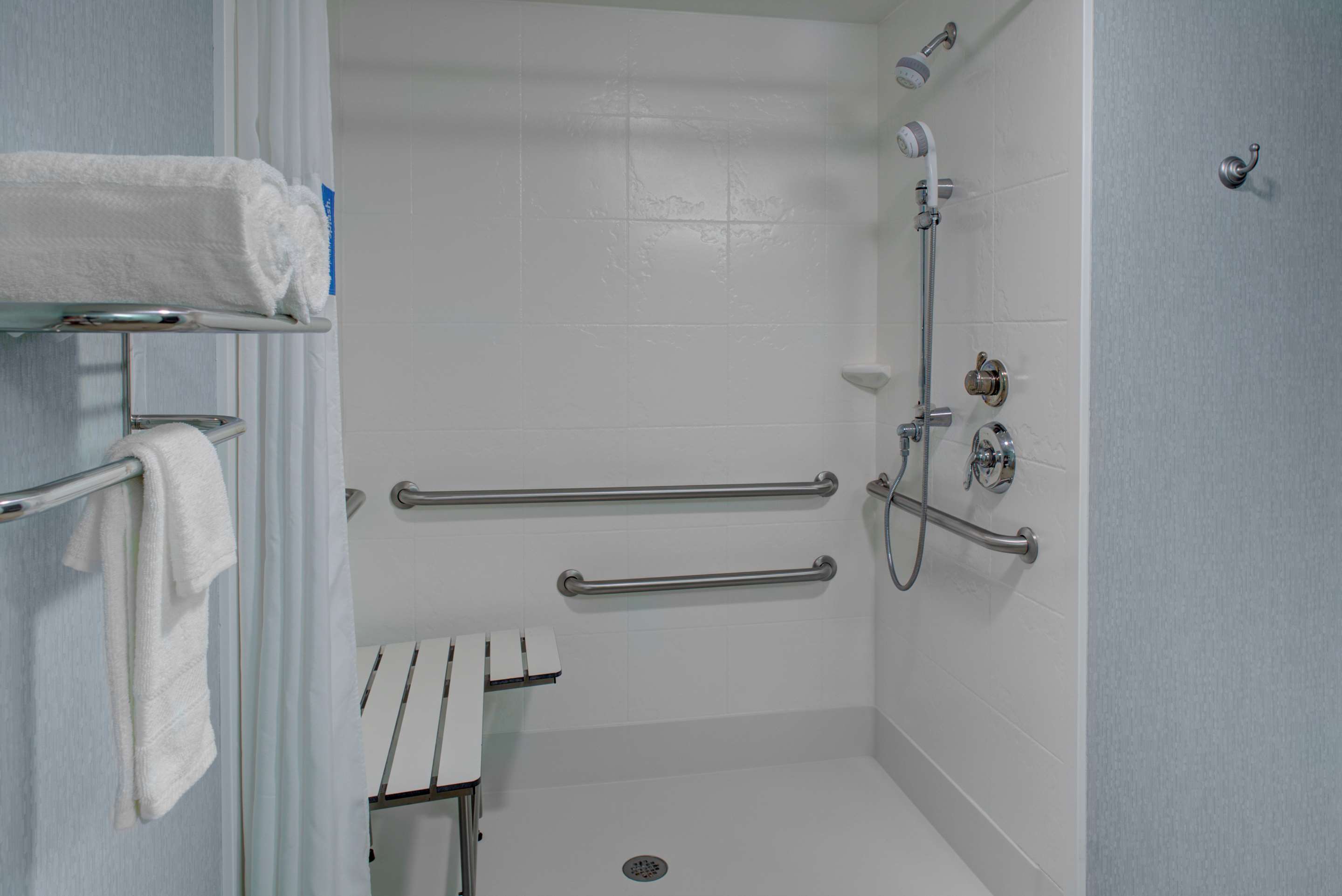 1 King Mobility Accessible Roll-in Shower Suite2 options